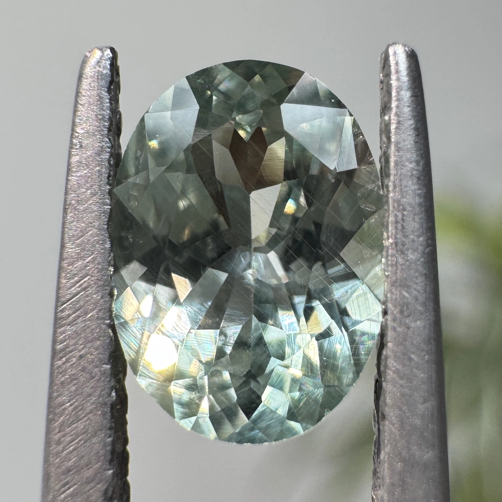 0.88ct Oval Montana Sapphire