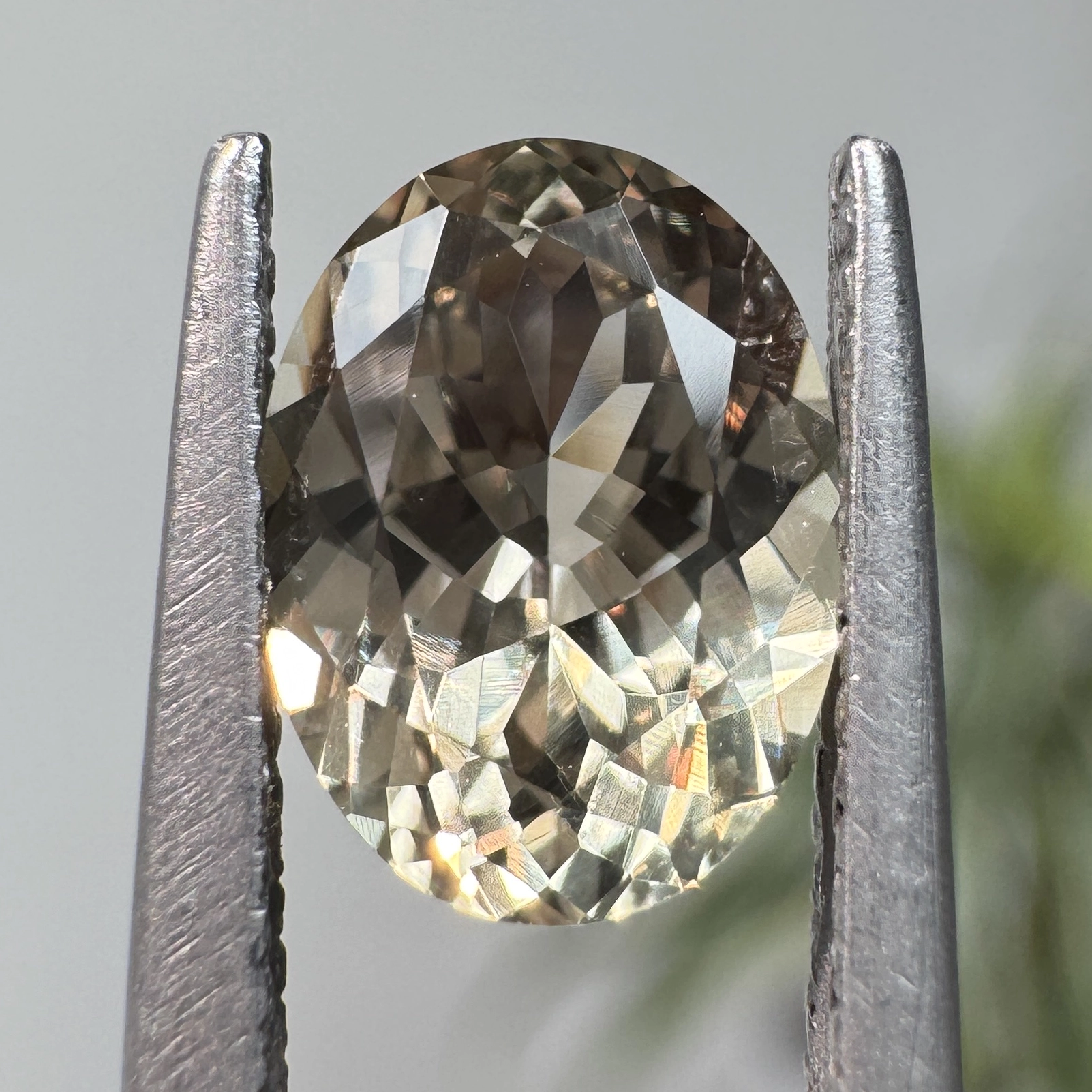 1.45ct Oval Montana Sapphire