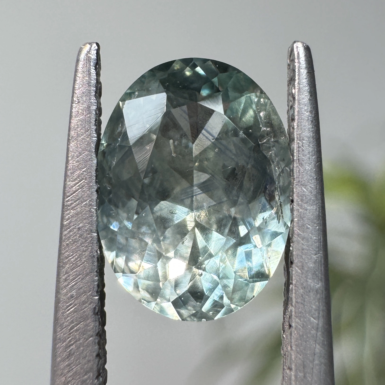 1.48ct Oval Montana Sapphire
