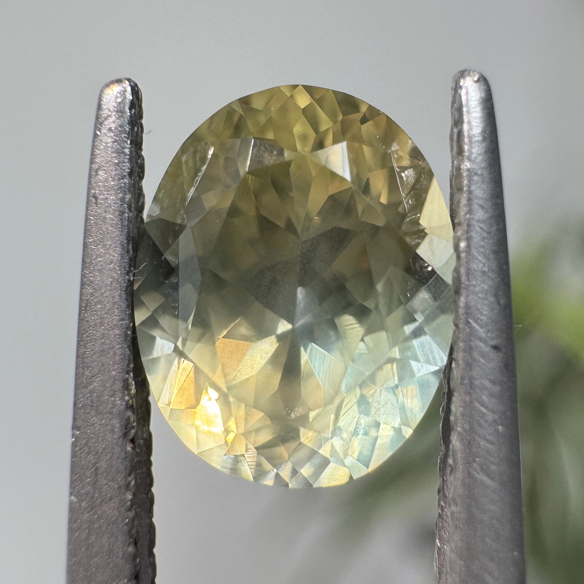 1.46ct Oval Montana Sapphire