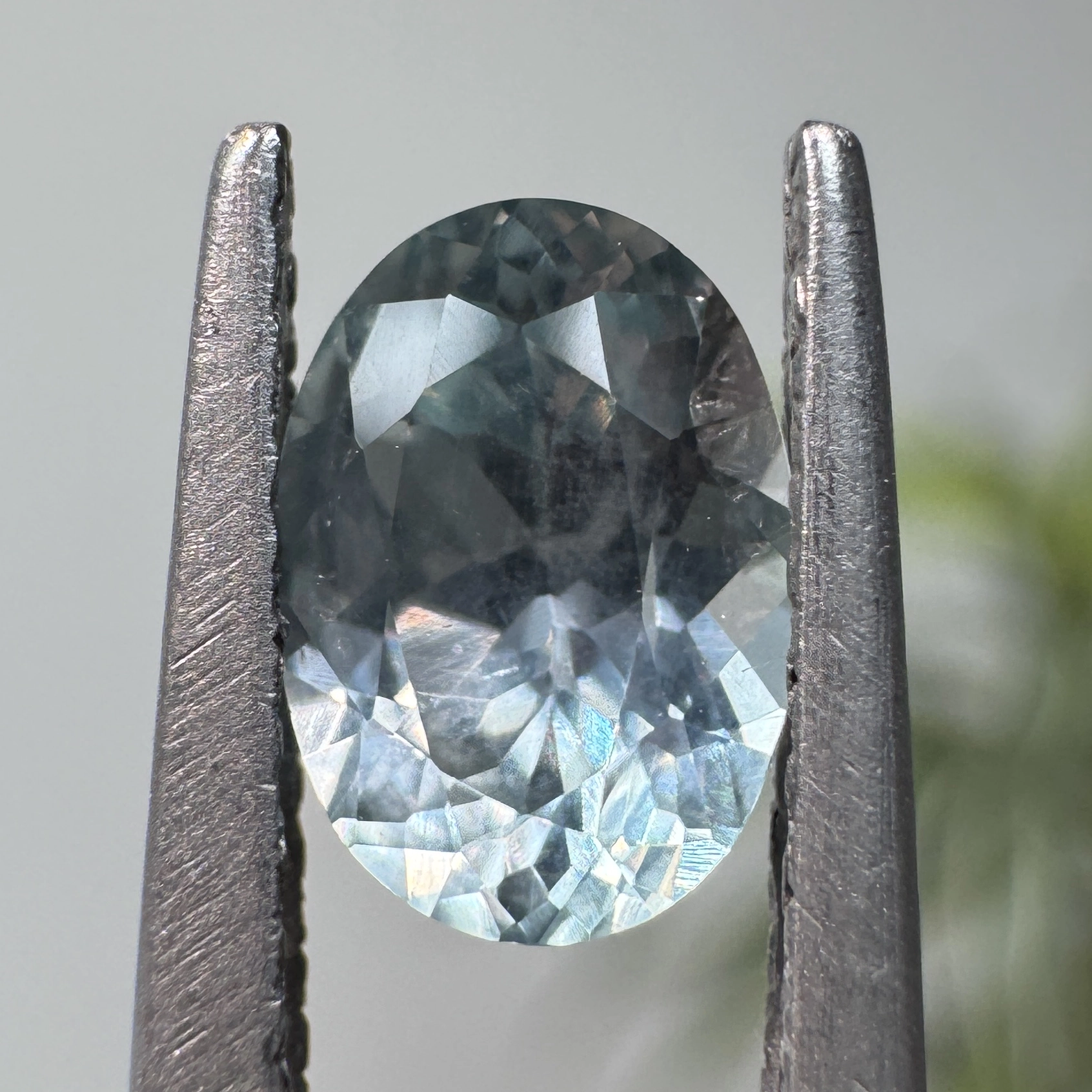 0.82ct Oval Montana Sapphire