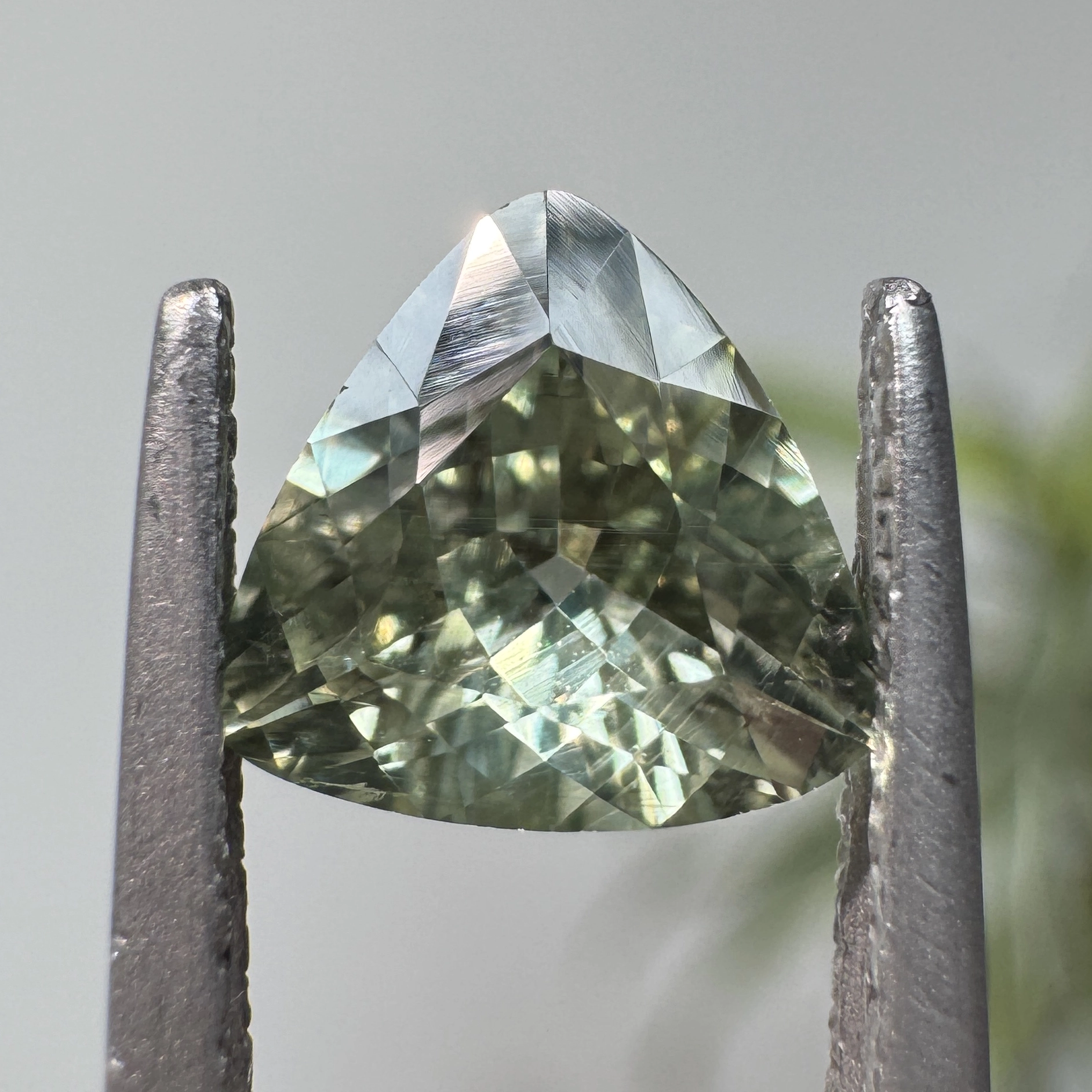 1.00ct Trillion Cut Montana Sapphire