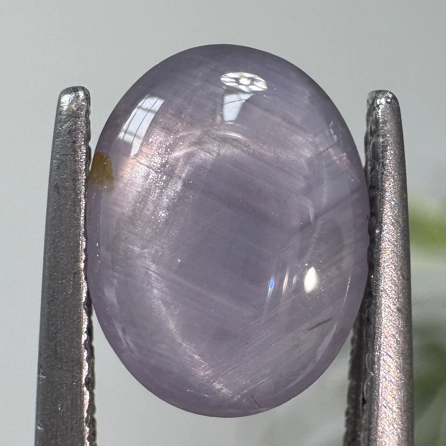 1.89ct Oval Cabochon Sri Lankan Star Sapphire