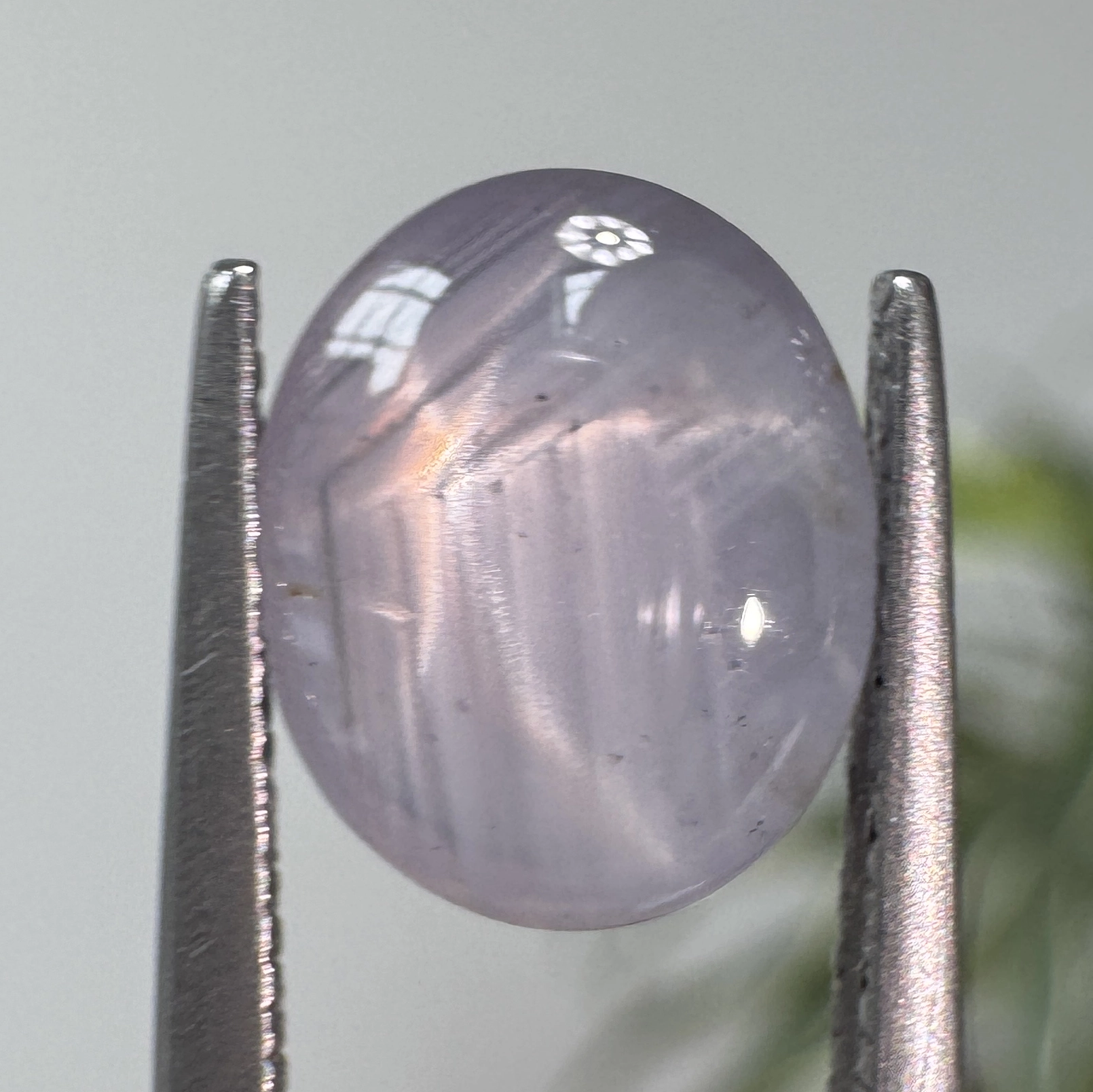 2.69ct Oval Cabochon Sri Lankan Star Sapphire