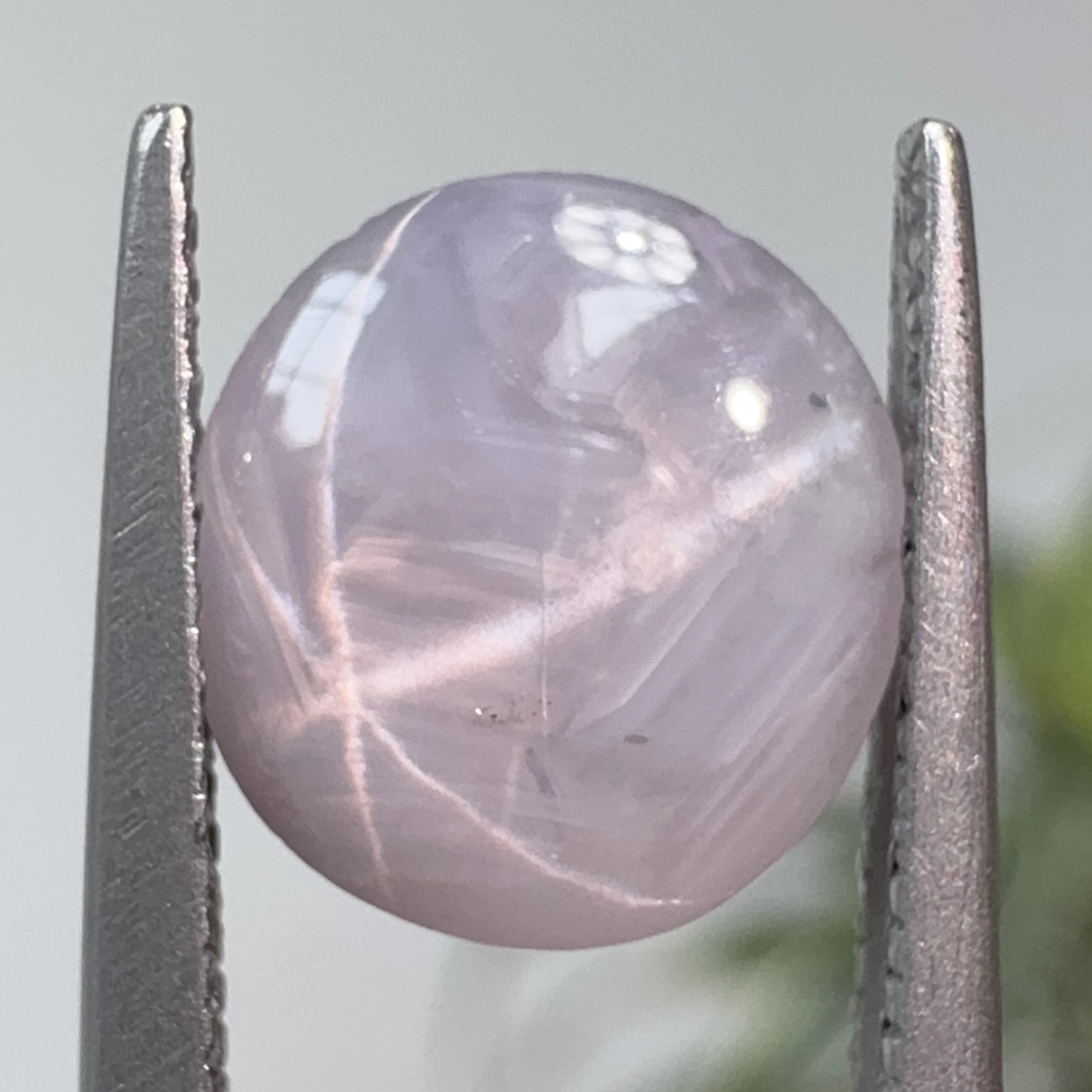 1.92ct Round Cabochon Sri Lankan Star Sapphire