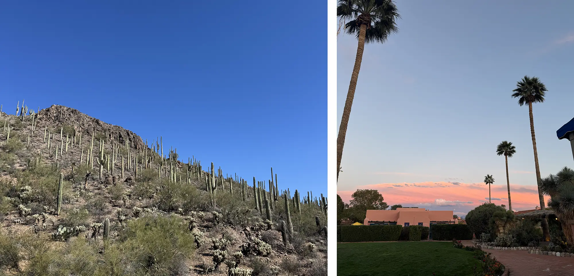 Tucson Arizona landscape and sunset